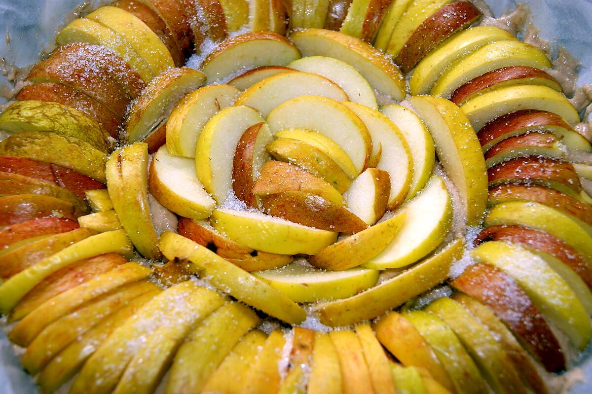recette Tarte/gâteau aux pommes