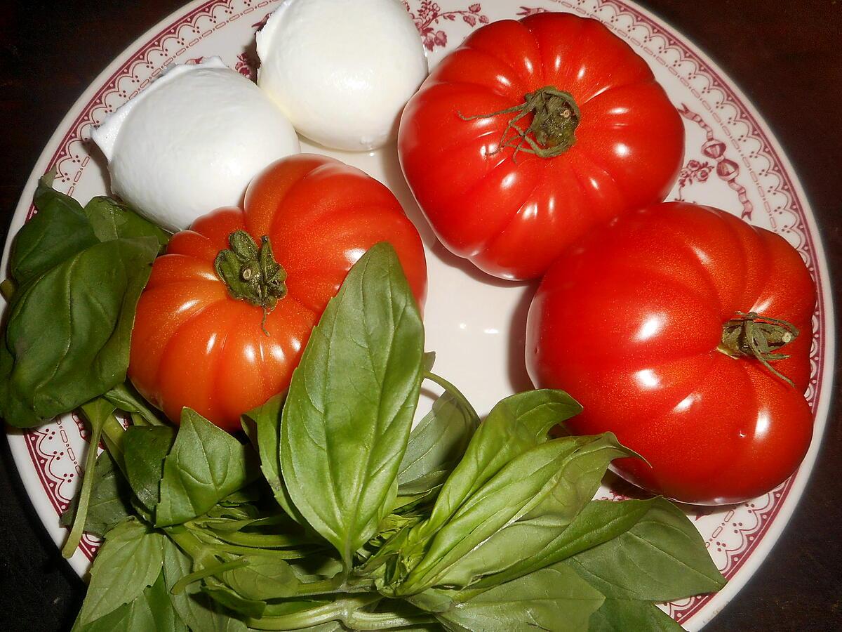 recette Tomates mozzarella en mille-feuilles