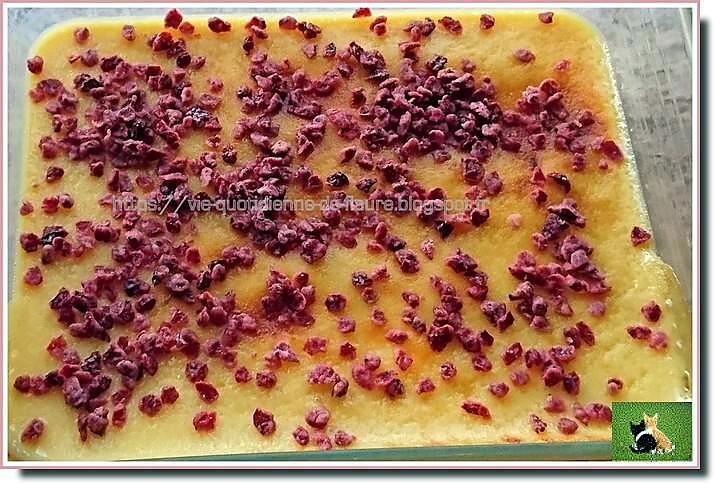 recette Flan coco - vanille parsemé de pépites de cranberries