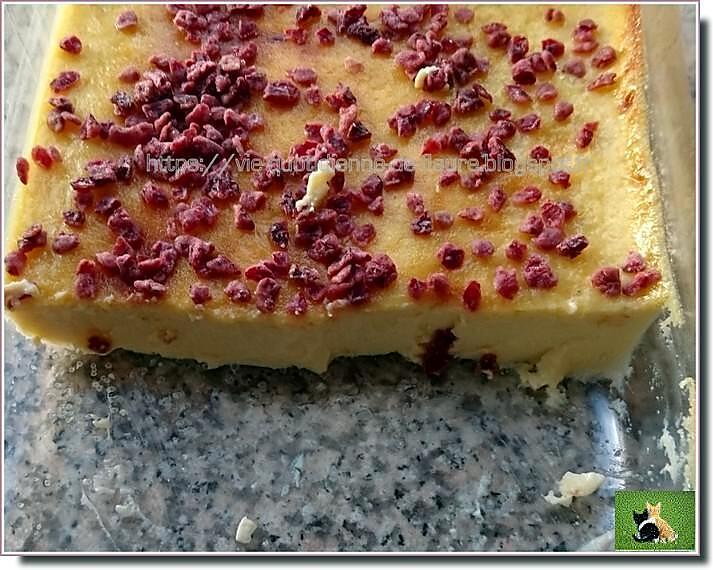 recette Flan coco - vanille parsemé de pépites de cranberries