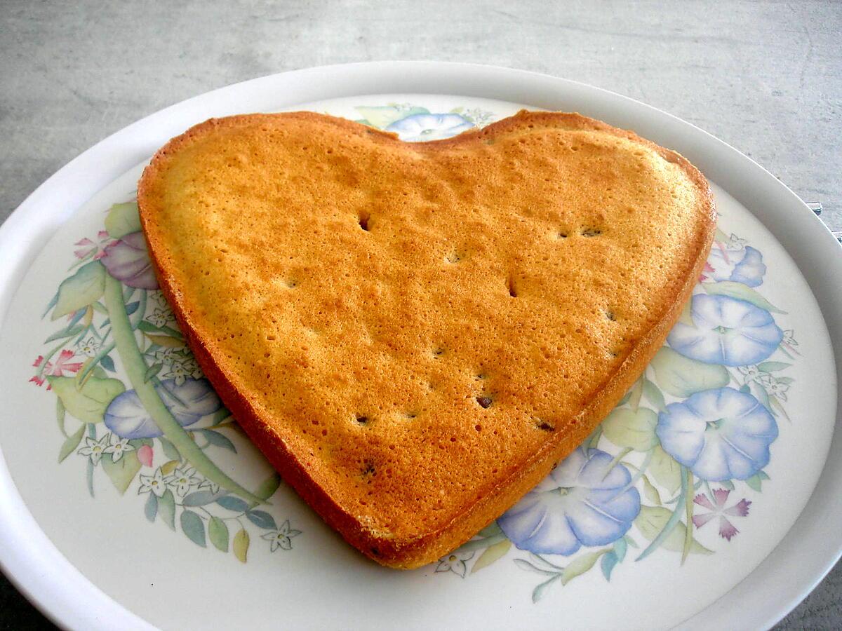 recette Financier géant à la noix de coco et aux pépites de chocolat