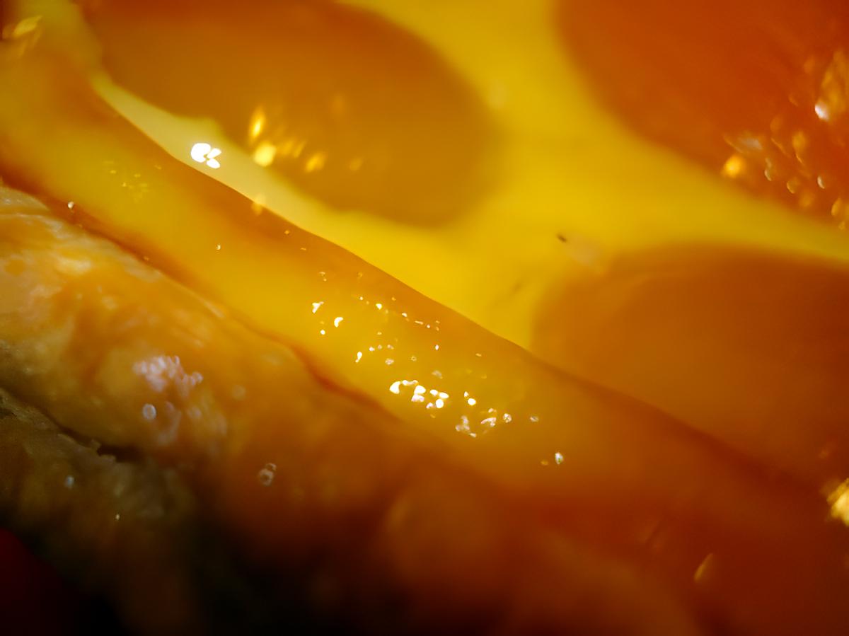 recette Tarte pâtissière aux abricots(Très Facile)