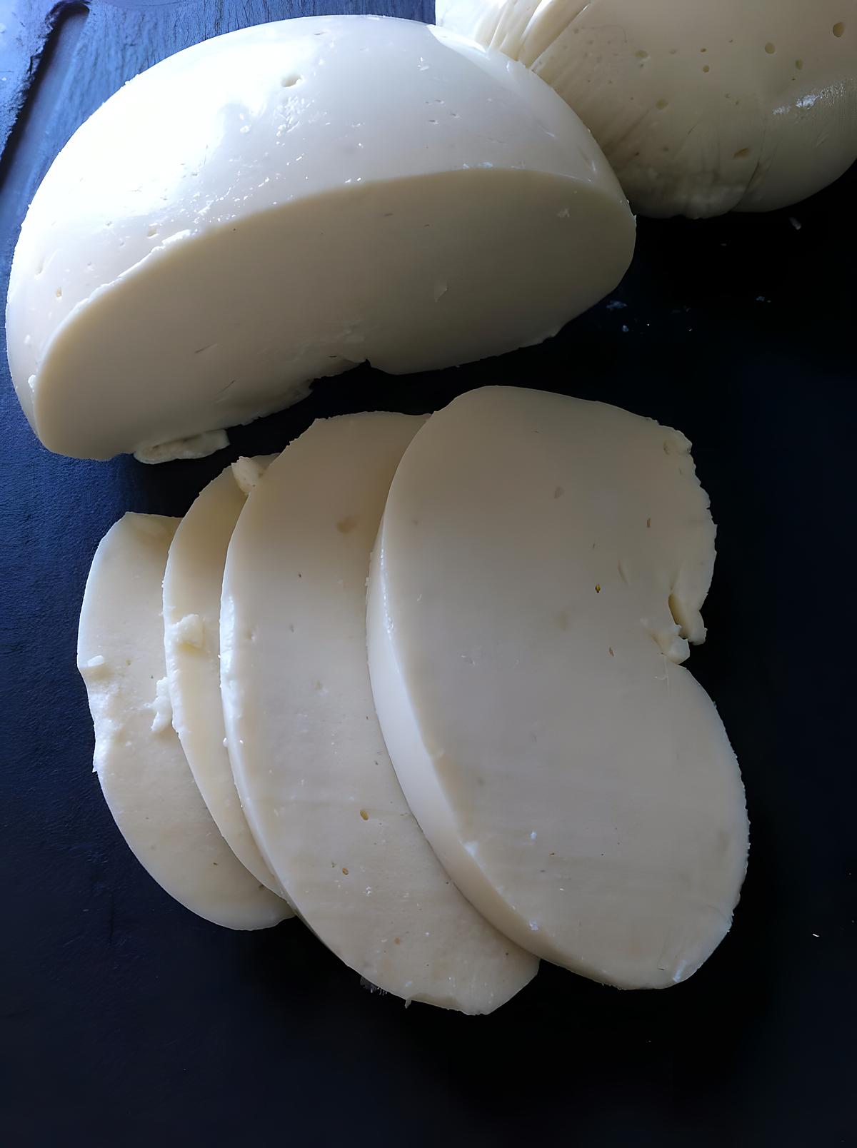 recette Mozarella végétale (compatible dukan)