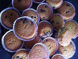 recette Muffins au soja et pépites de chocolat (sans lactose)