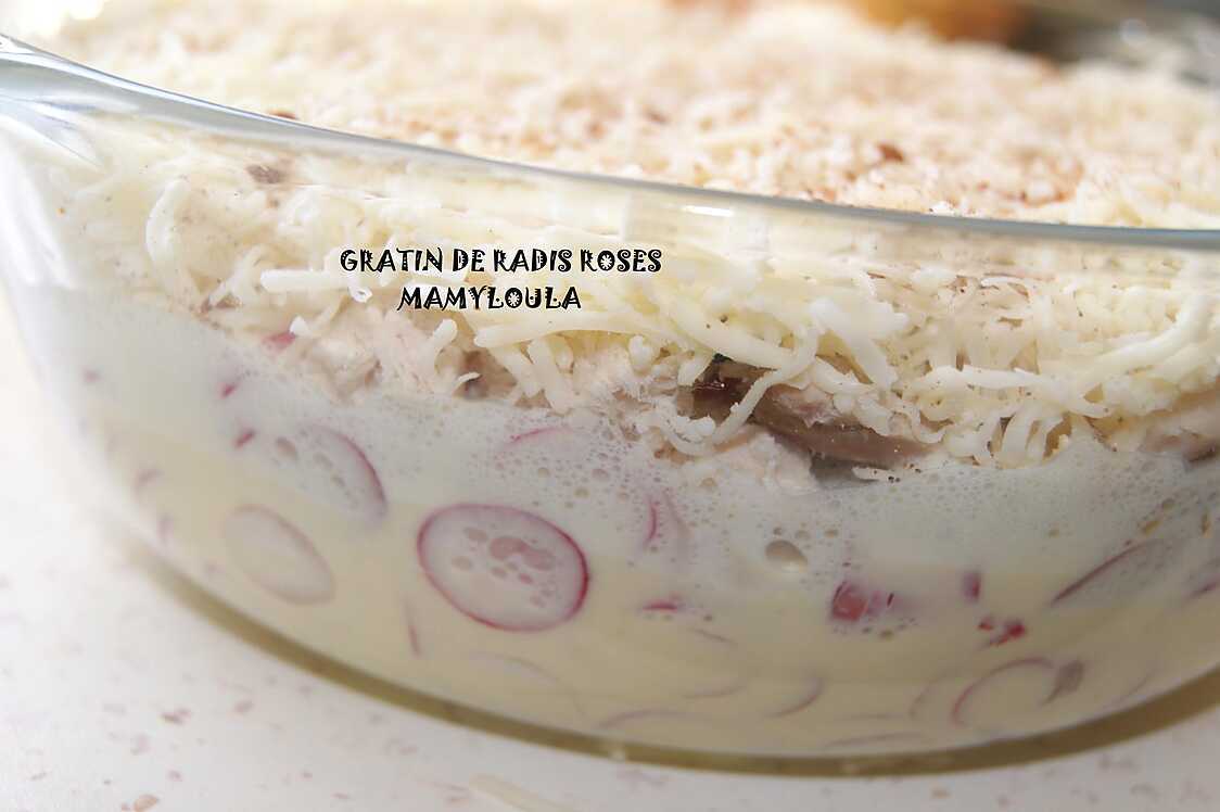 Recette Radis Noir Cuit En Gratin