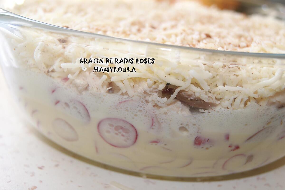 recette Gratin de radis roses