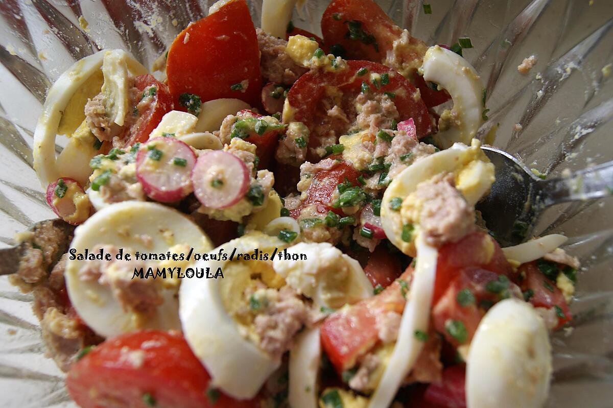 recette Salade tomates/oeufs/radis/thon