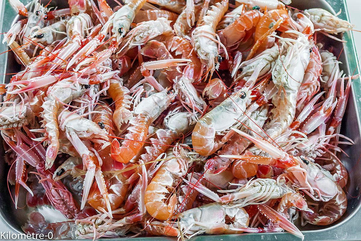 recette Tzatziki aux langoustines, radis et concombre