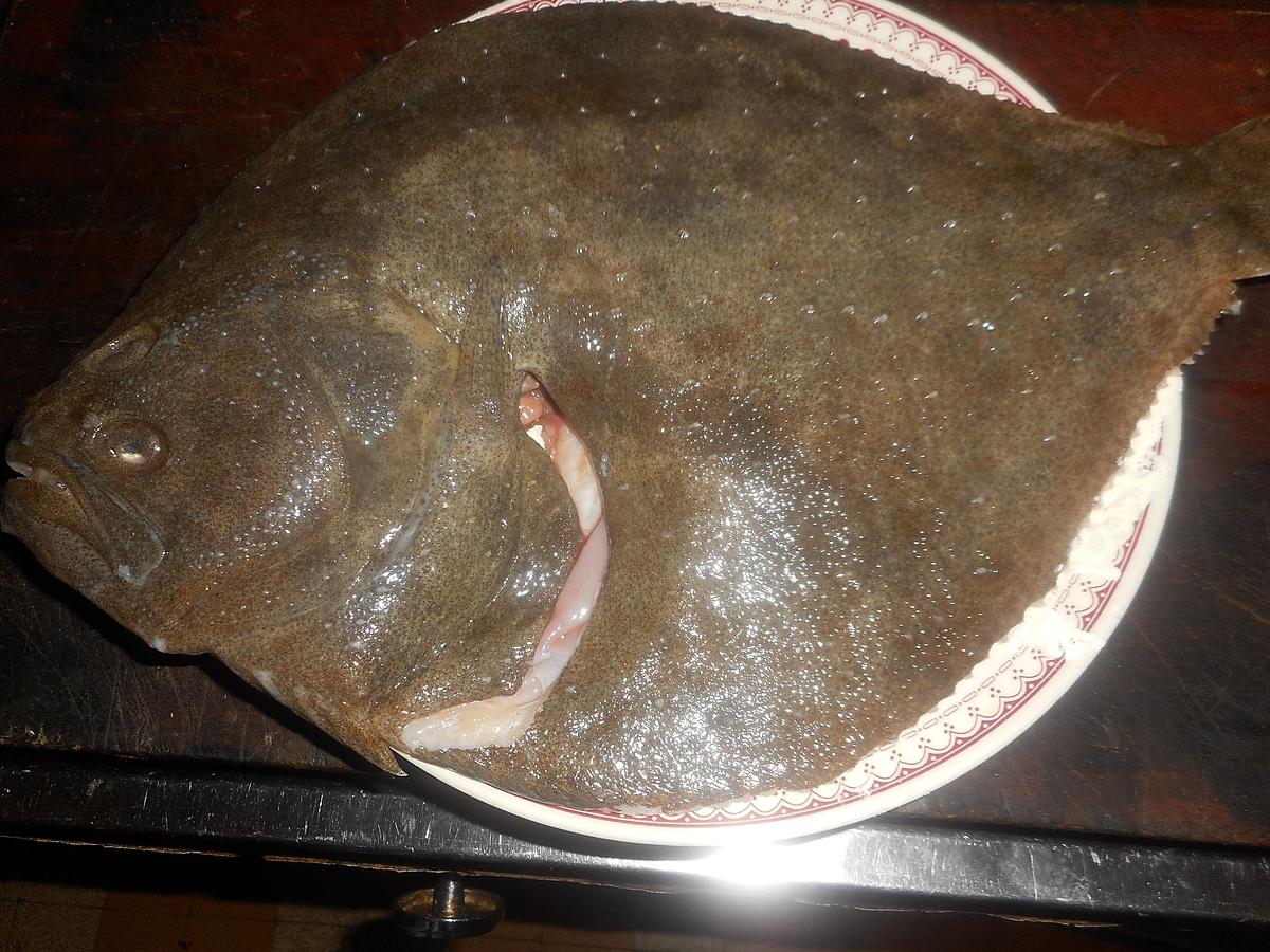 recette turbot meuniére