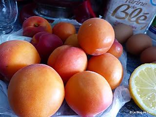 recette Moelleux aux abricots