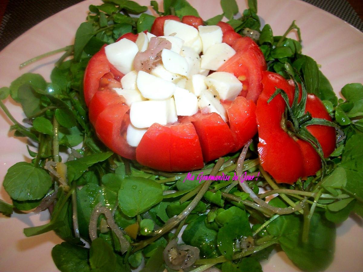 recette SALADE FRAÎCHEUR (Tomate, Cresson, Mozzarella).