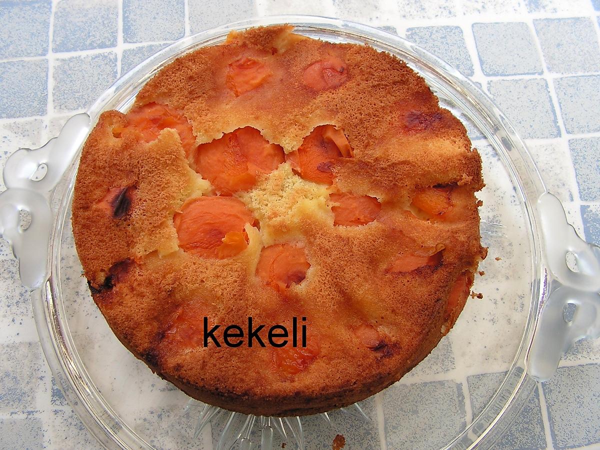 recette Gâteau renversé aux abricots