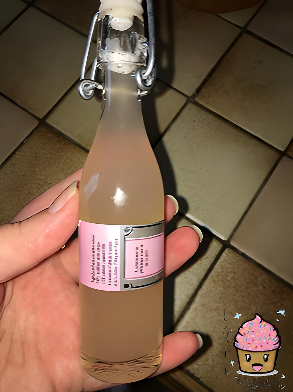 recette SIROP DE RHUBARBE.