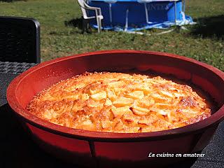 recette Gâteau rapide Tupperware pommes poires