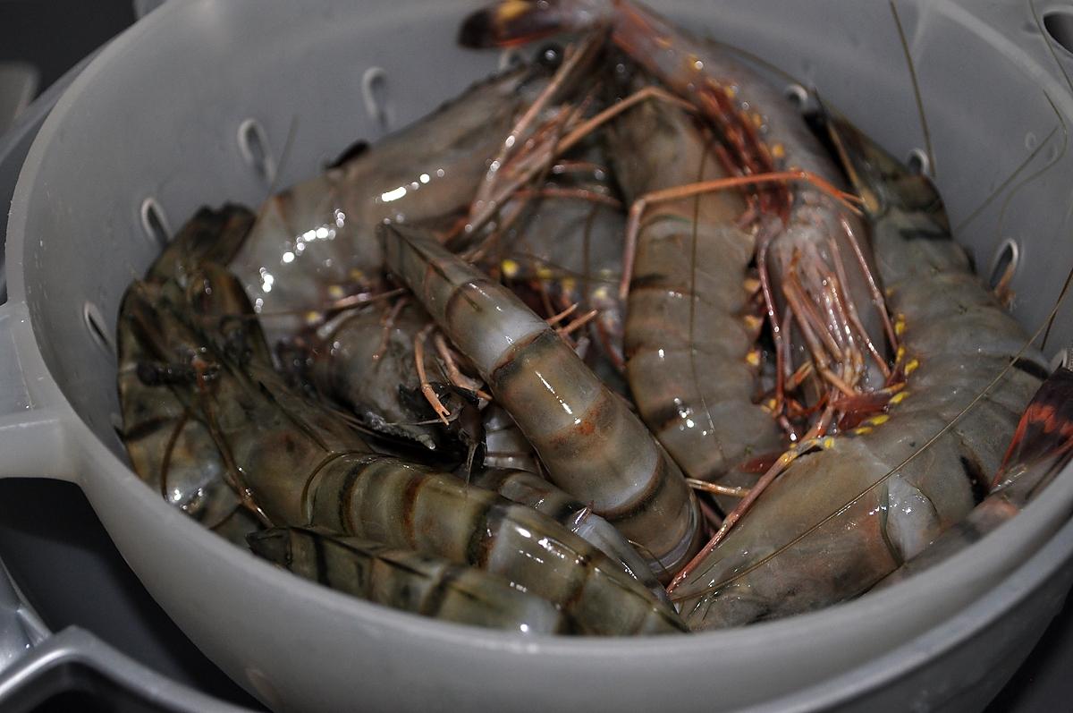 recette Crevettes Sautée a L'ail