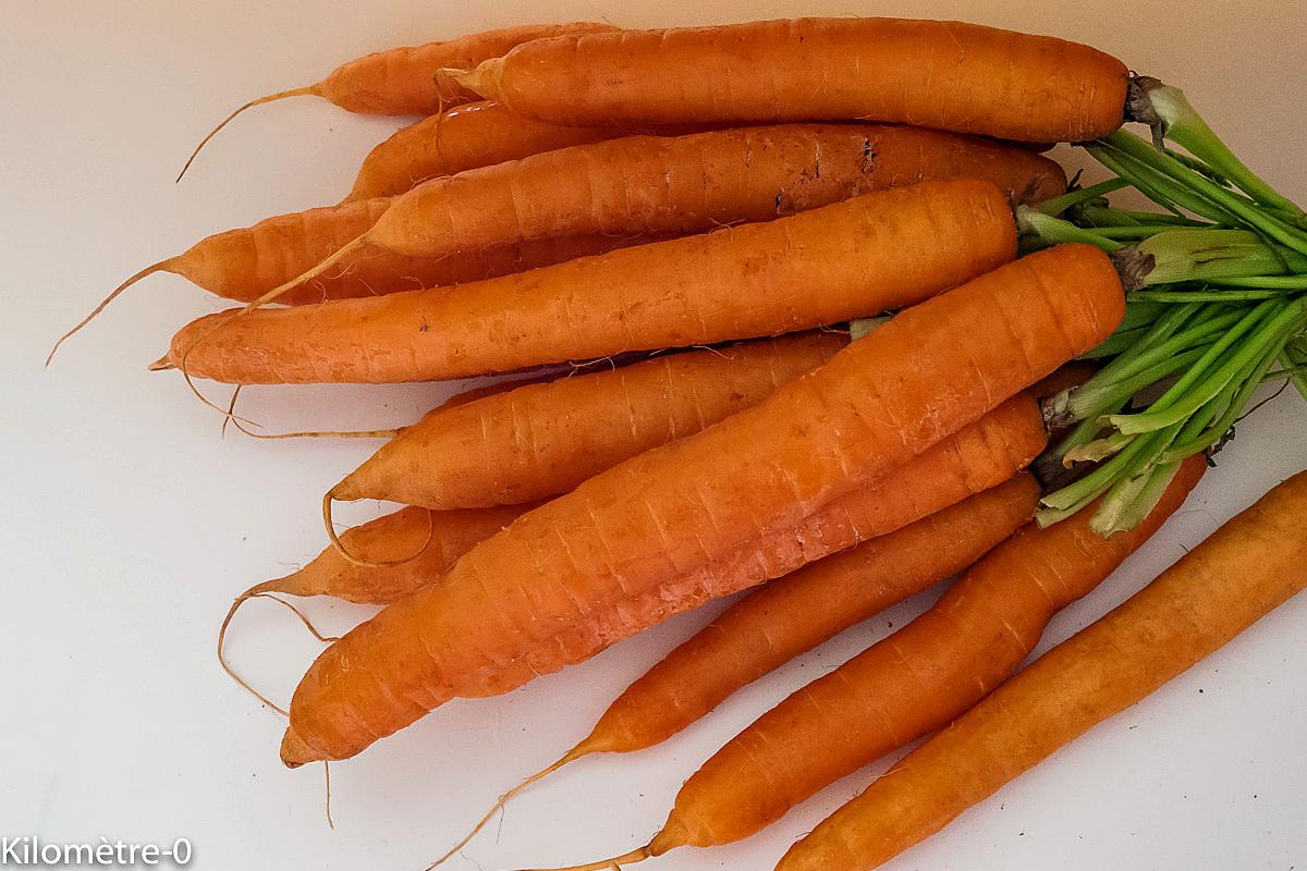 recette Salade de carottes et courgettes aux oeufs