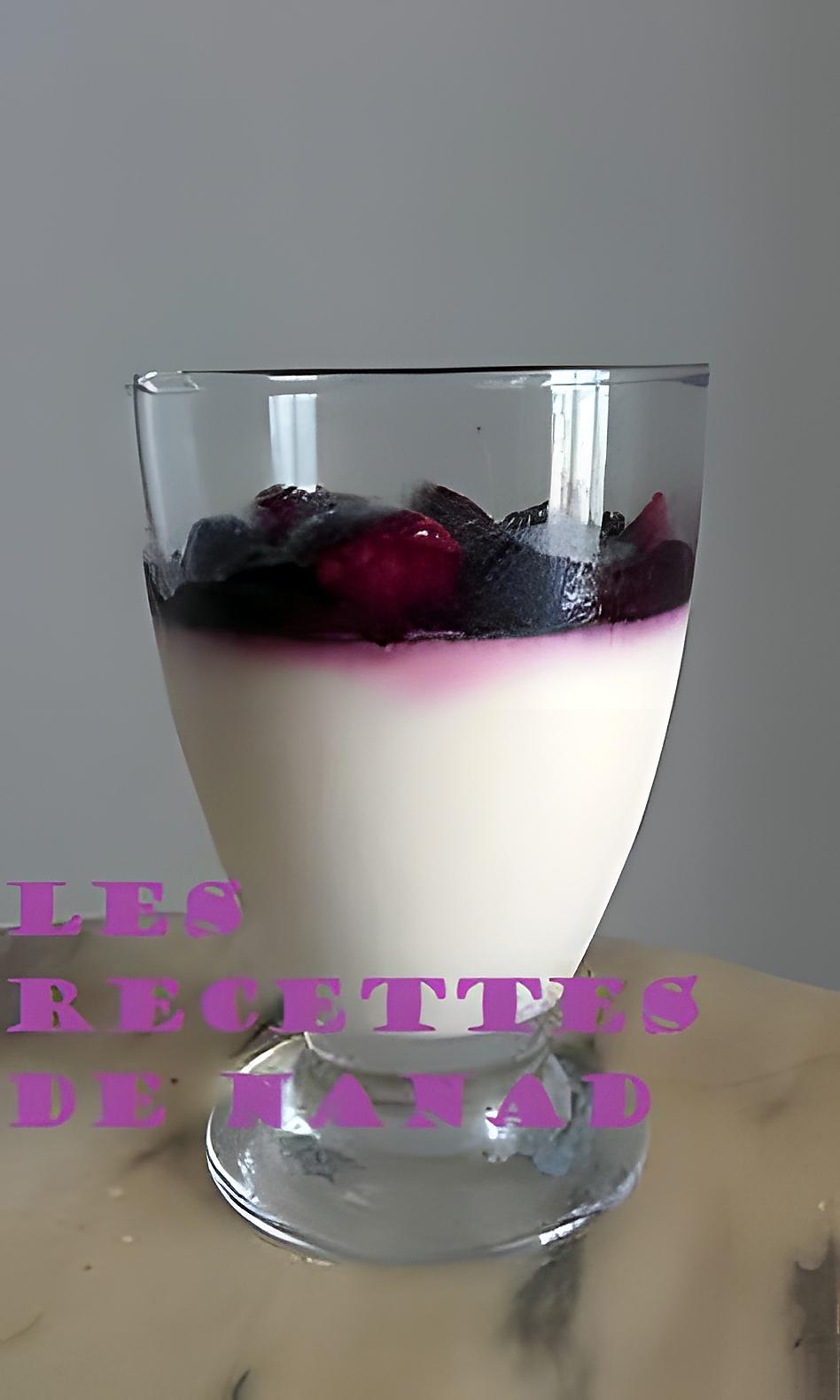 recette Panna cotta aux fruits rouges