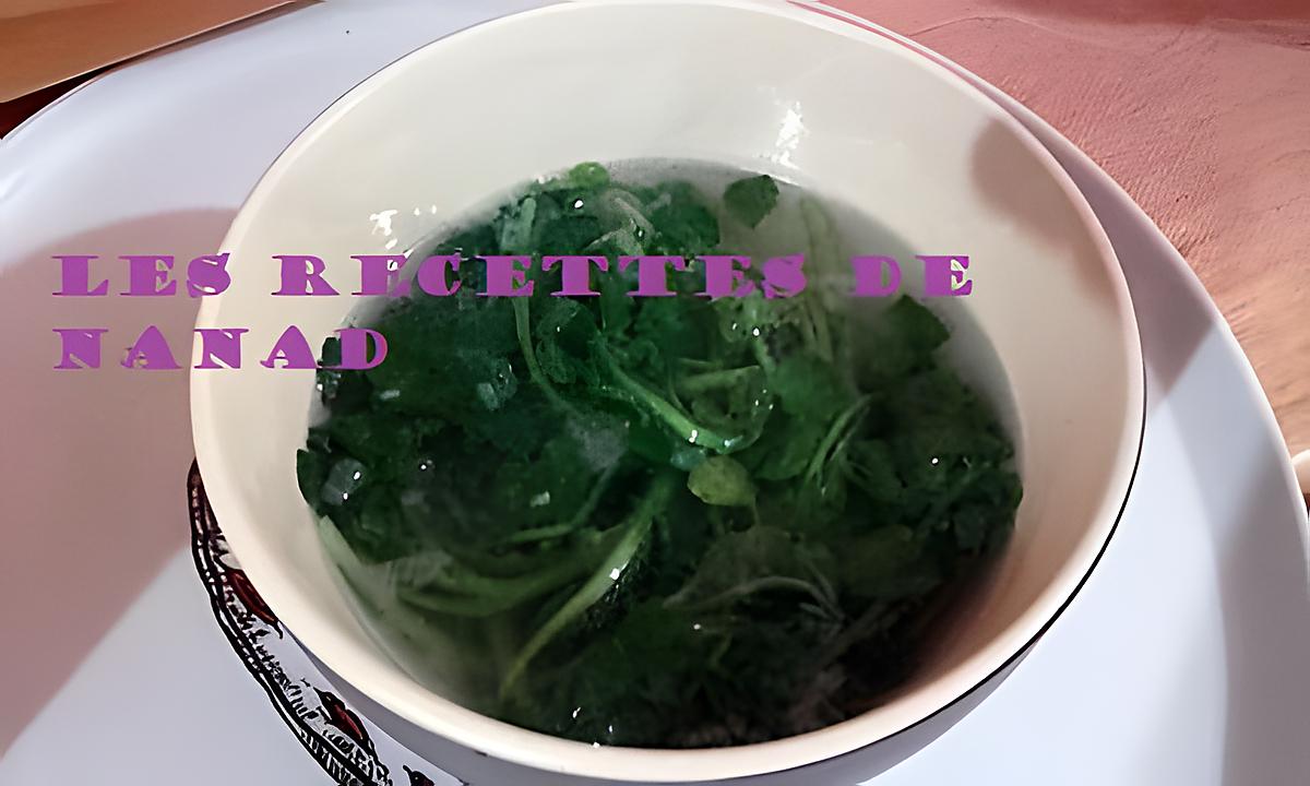 recette Bouillon de cressons