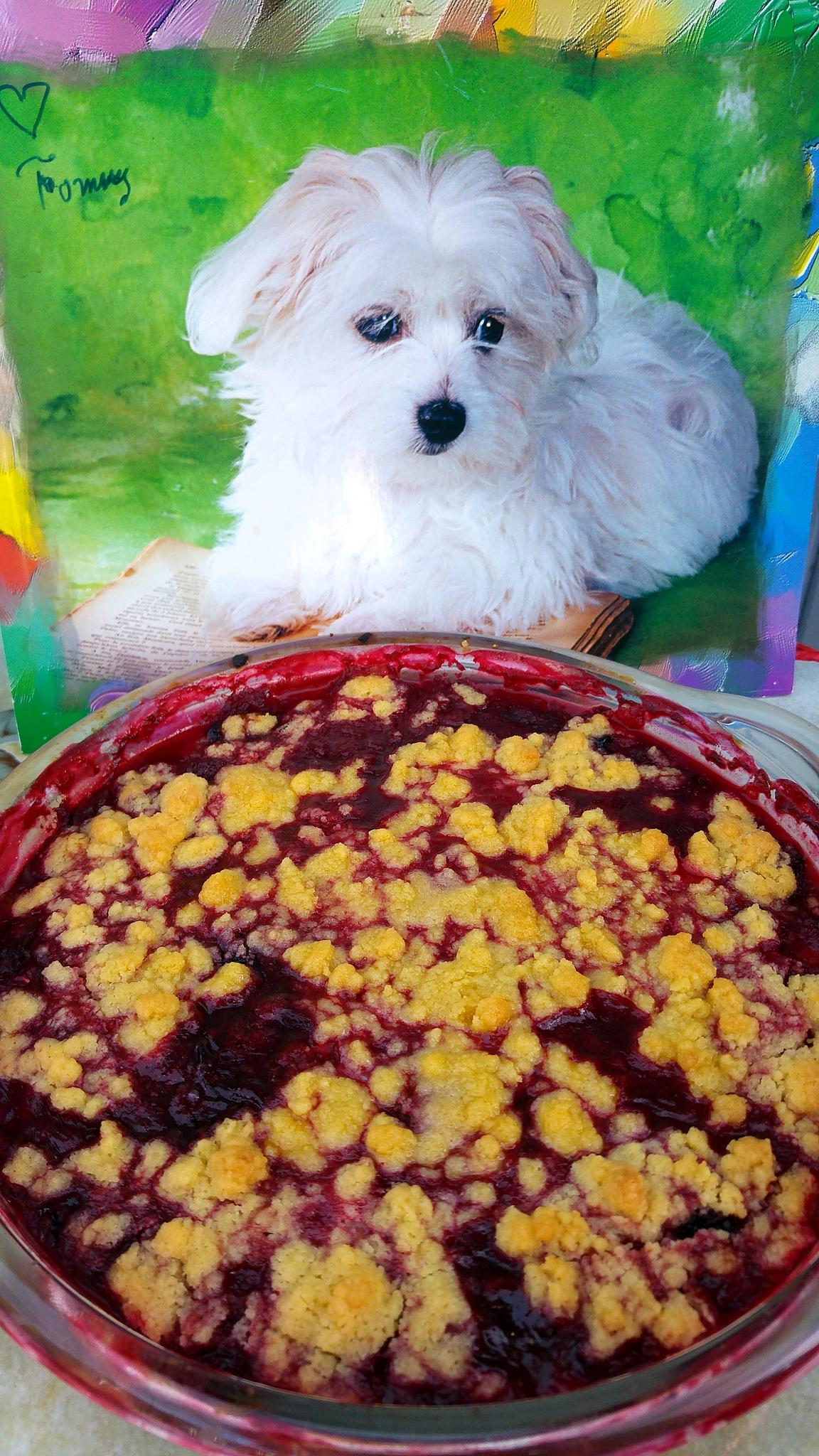 recette Crumble de Tommy et ces fruits rouges au coulis de framboises ....