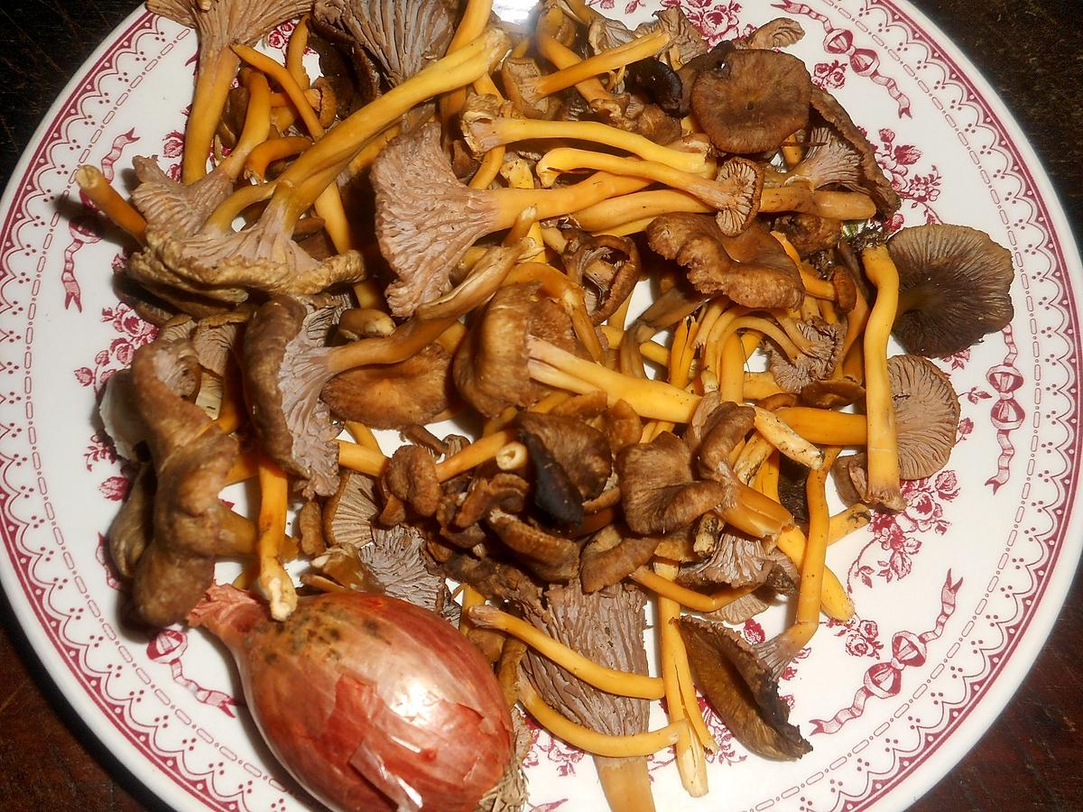 recette Spaghetti aux chanterelles