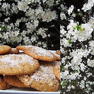 recette Cookies aux pépites de chocolat blanc et de noix de coco