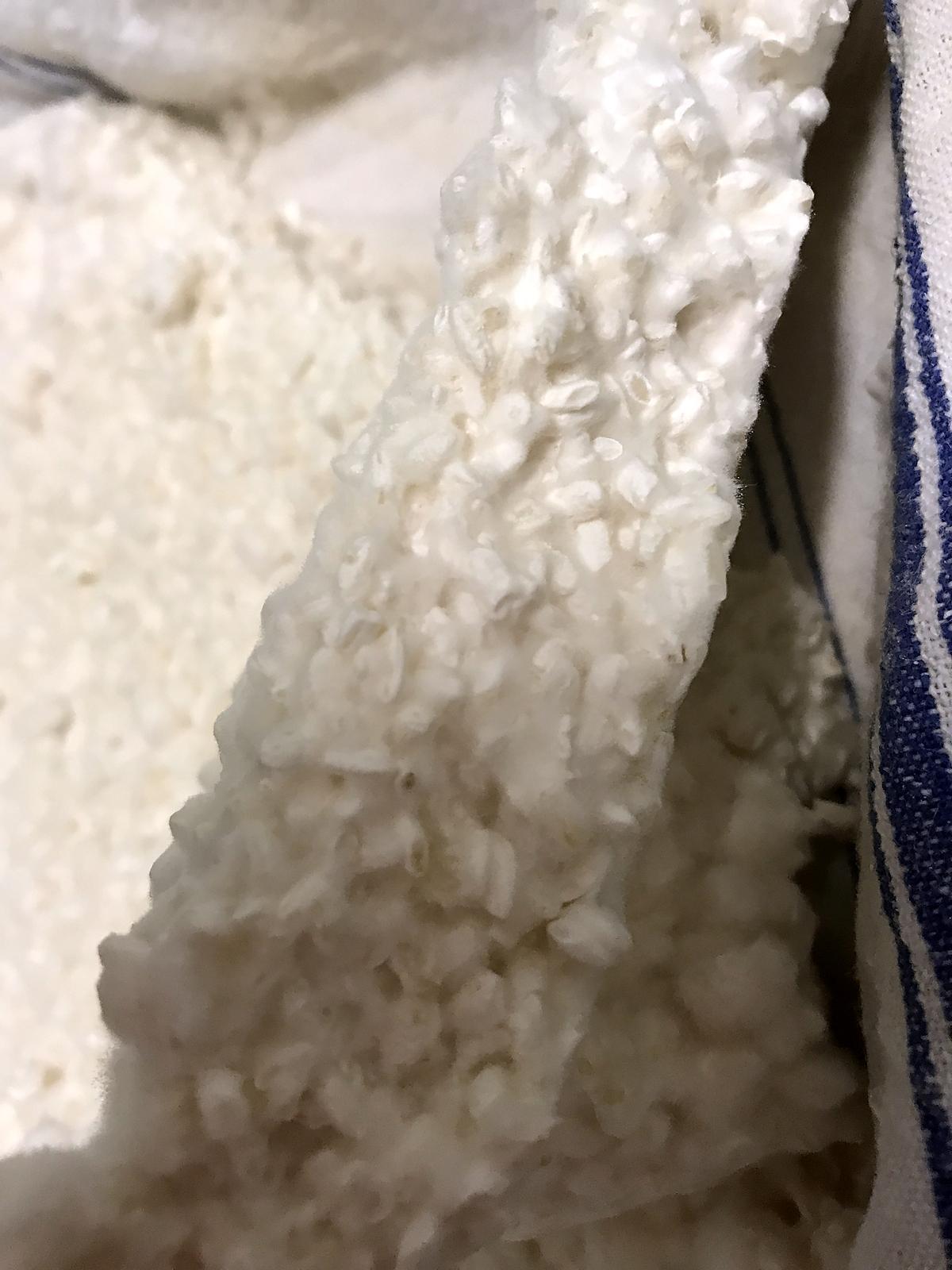 recette Koji fermentation part 1