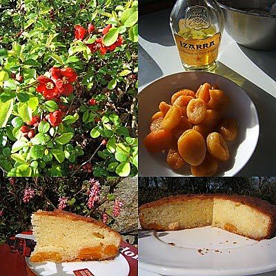recette Gâteau au mascarpone , abricots et Izarra