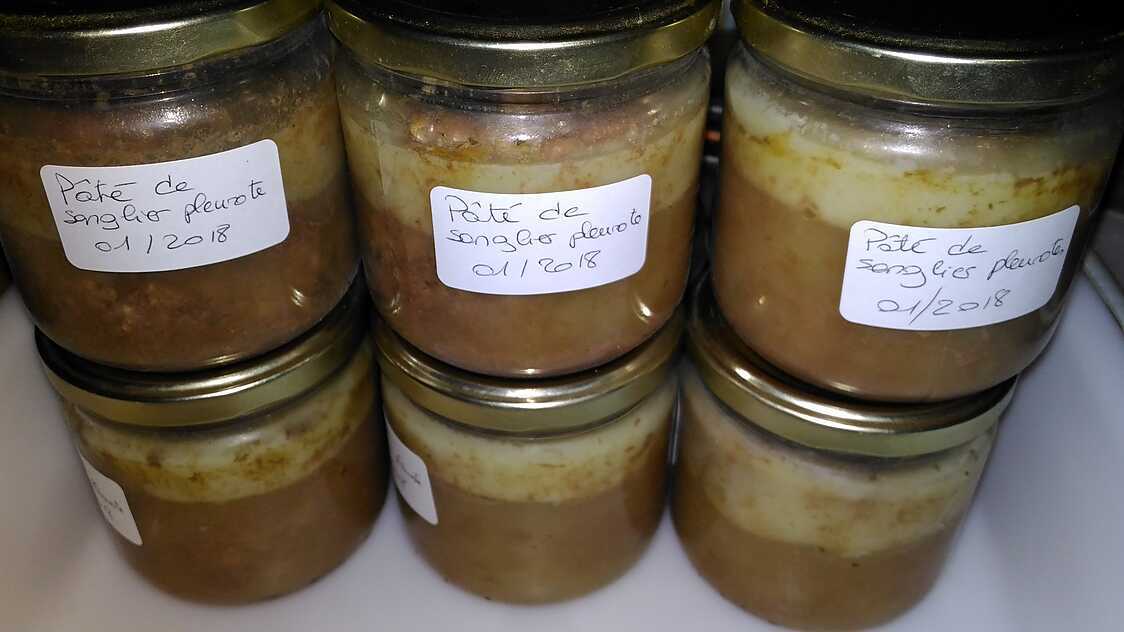 Recette de TERRINE SANGLIER AUX PLEUROTES ET TERRINE SANGLIER AUX