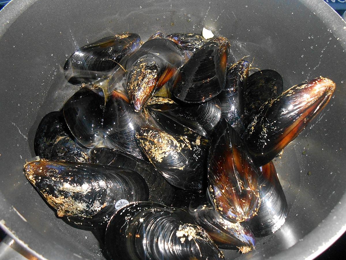 recette MOULES FARCIES AU THON