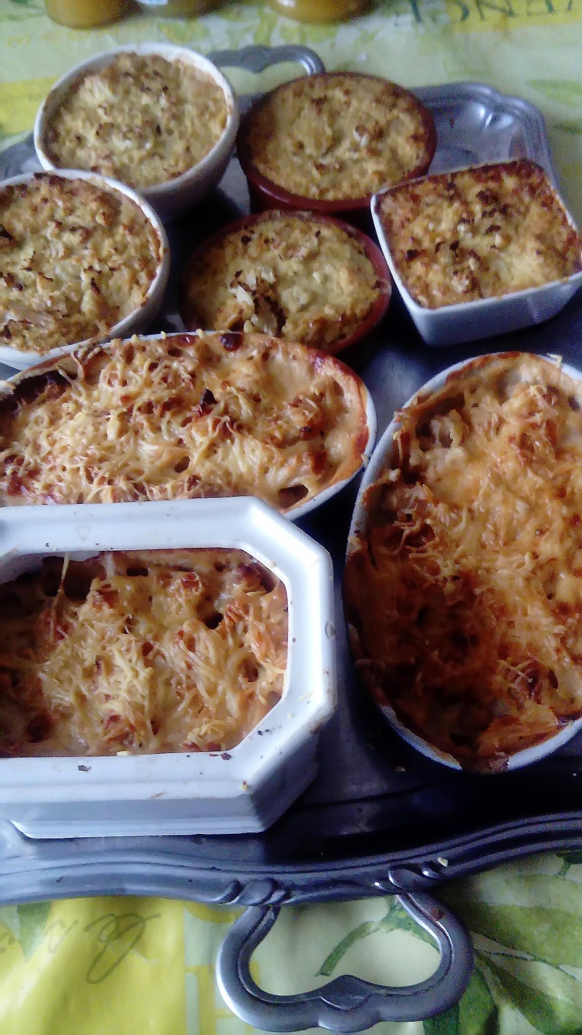 recette gratins  de choux  fleurs