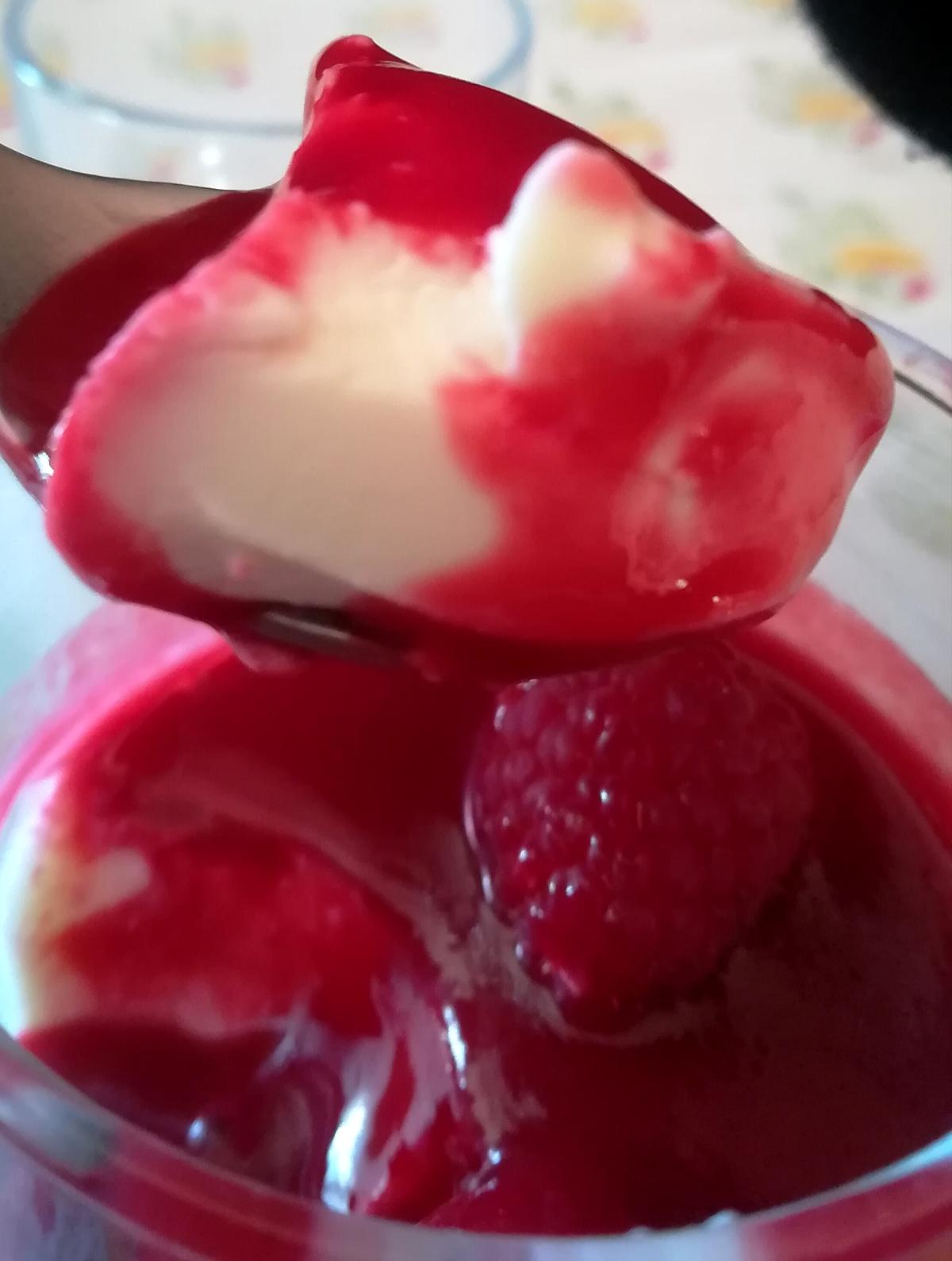 recette Panna Cotta à la framboise