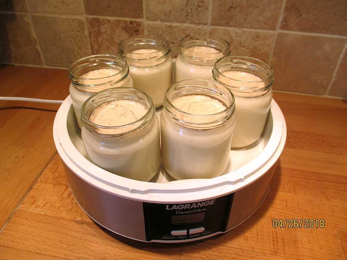 Yaourt Vanille Maison Yaourtiere | Ventana Blog