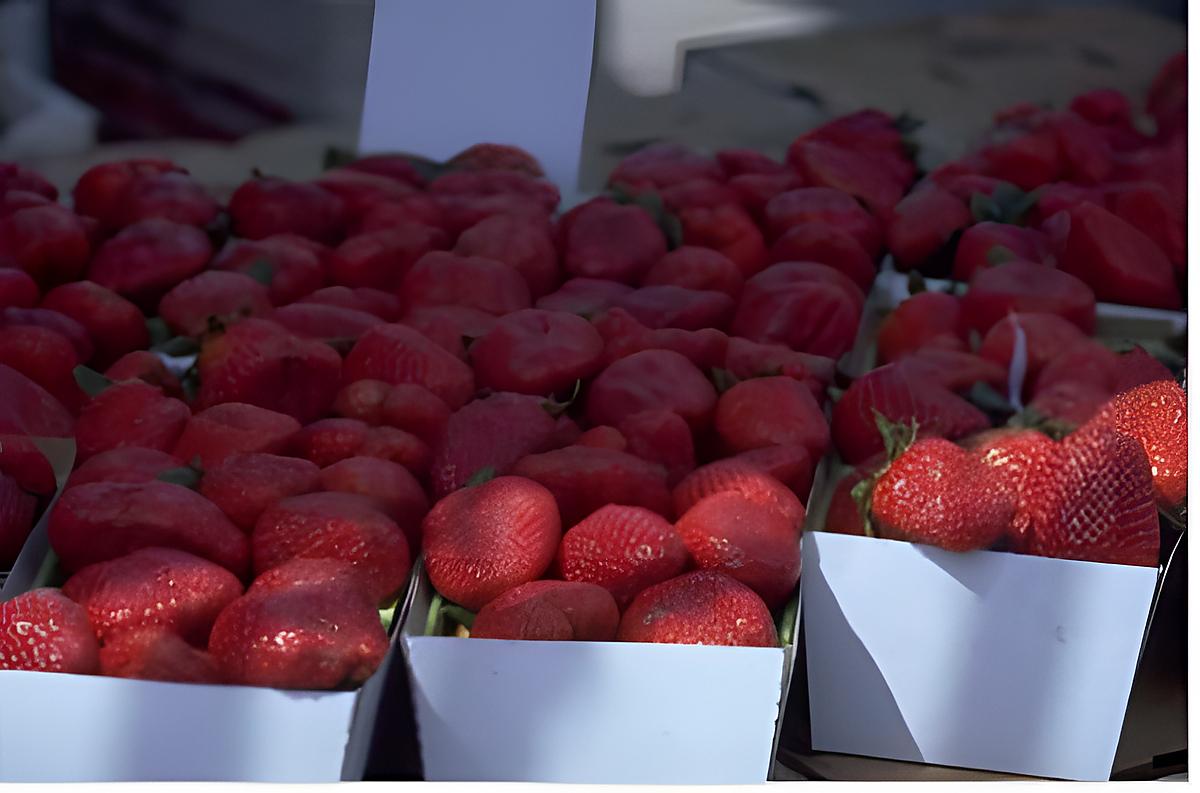 recette ENTREMET A LA FRAISE