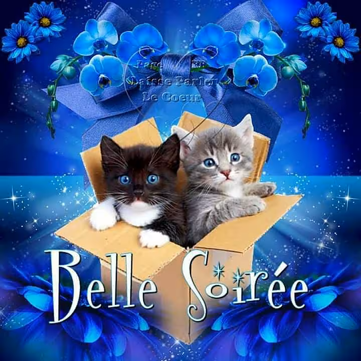 recette Hello bon je ne vais pas vs resservir le même potage