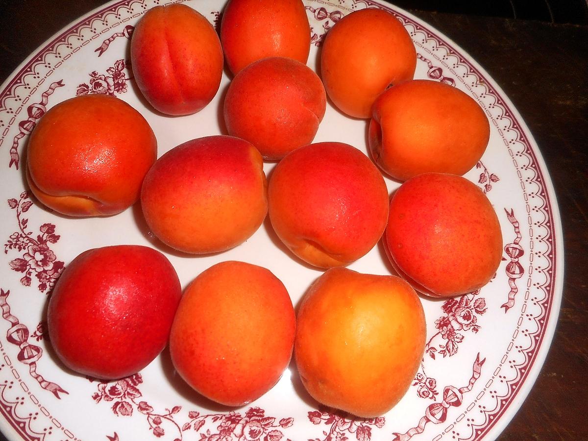recette Canette rotie aux abricots