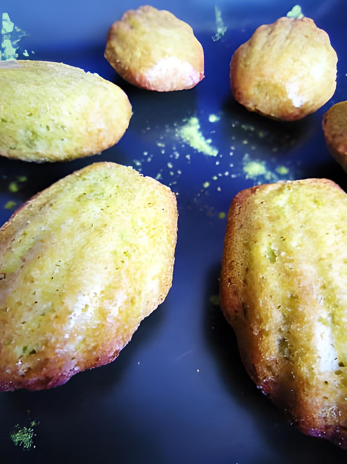 recette Madeleines au thé matcha