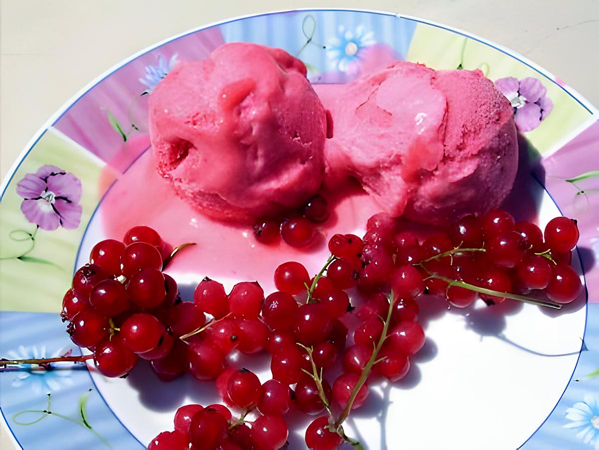 recette SORBET GROSEILLE