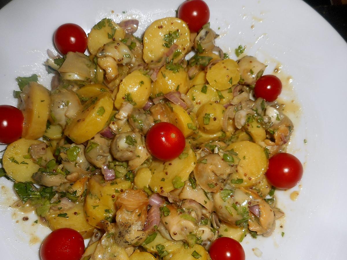 recette Salade de bulots aux pommes de terre nouvelles