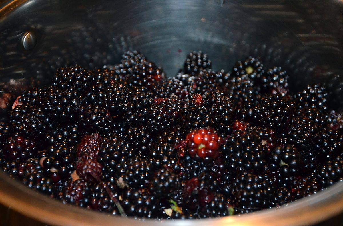 recette Sirop de mûres méthode traditionnelle