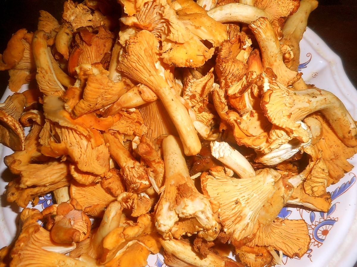 recette Pintade aux girolles