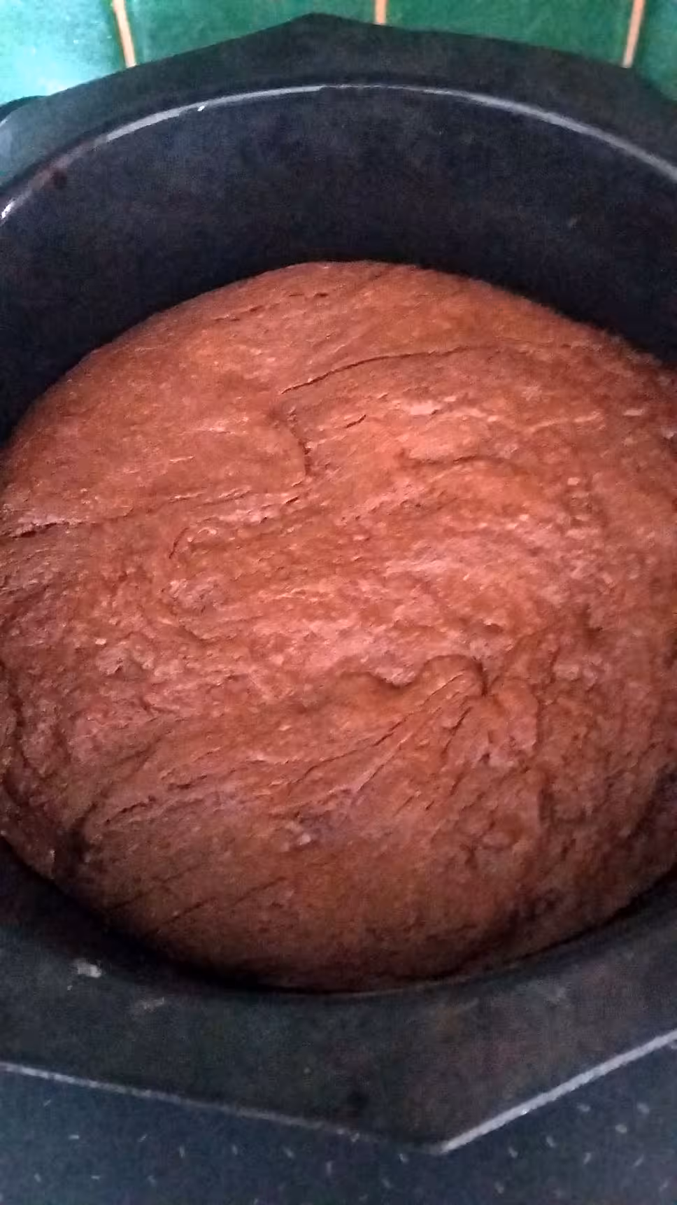 recette Gateau au chocolat noix noisettes délicieux