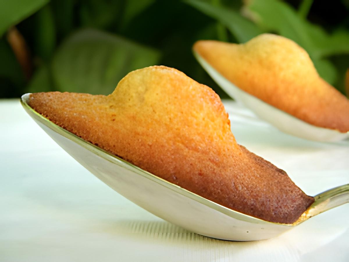 recette Madeleines à la cuillère au thé & miel de lavande