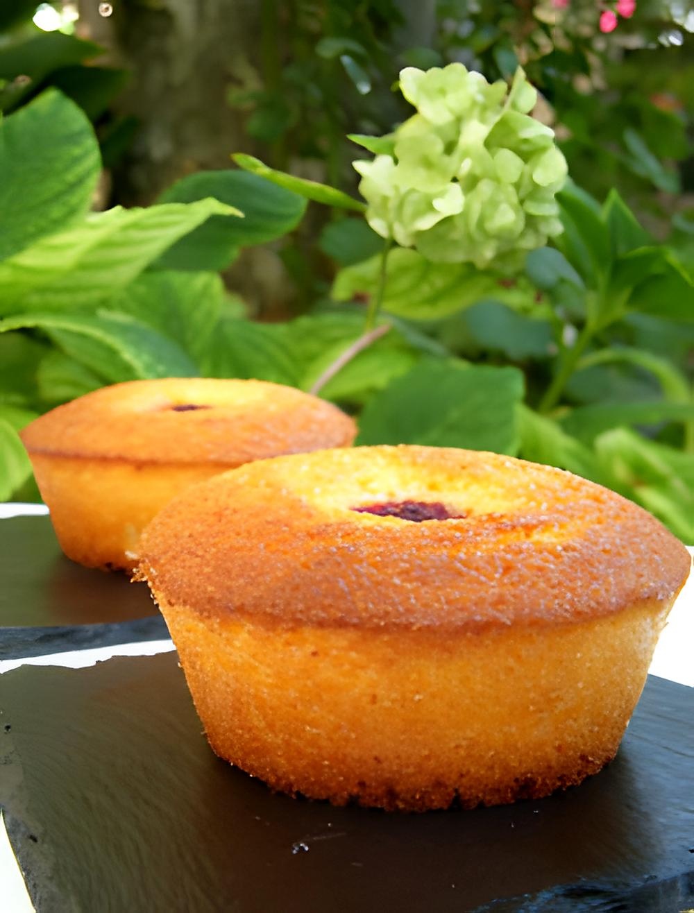 recette Cake de polenta au citron, coco & framboises