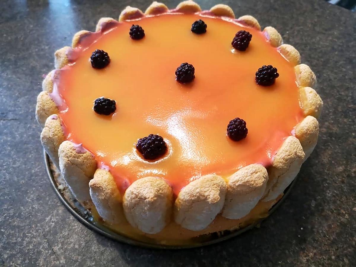 recette Bavarois aux mures sauvage et son nappage aux fruits de la passion