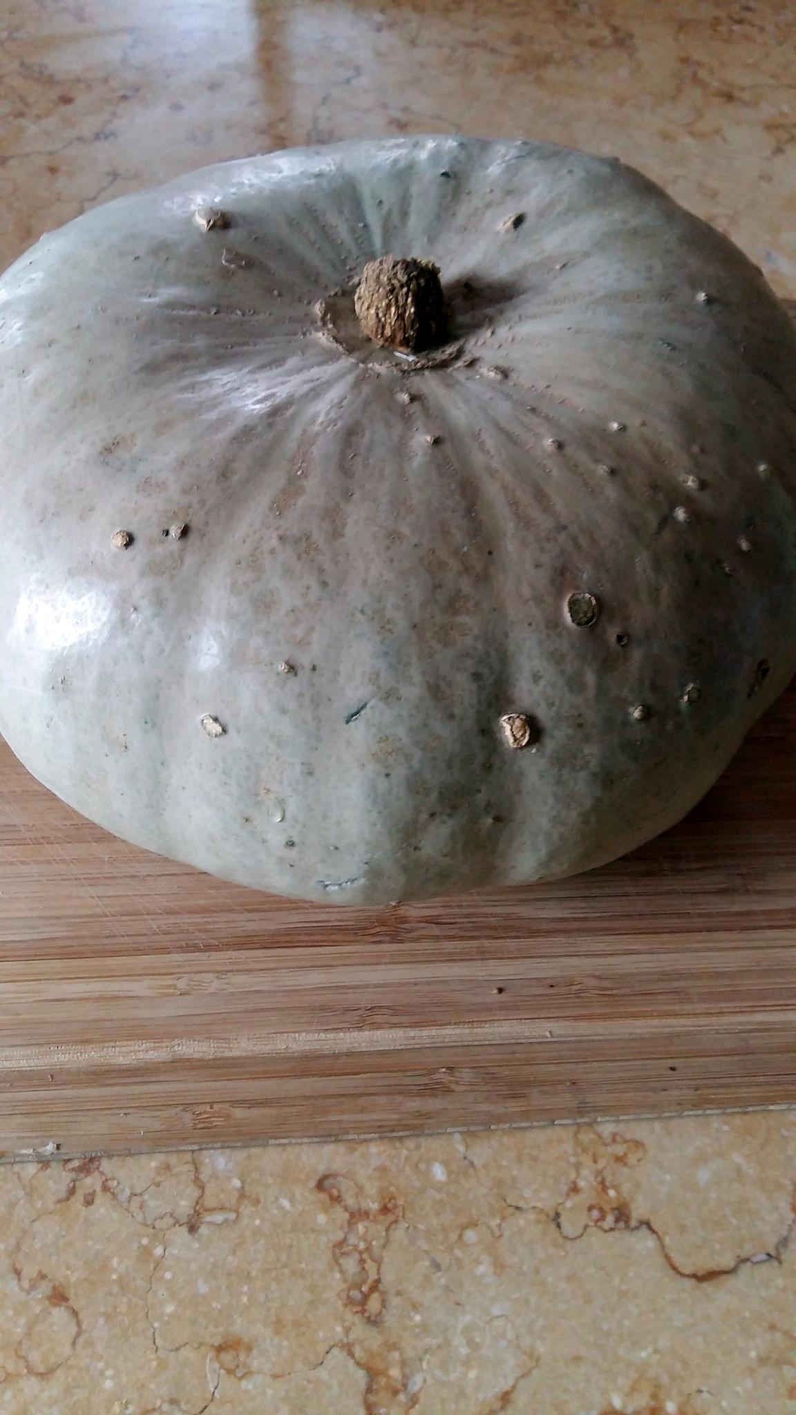 recette Courge bleu de Hongrie gratinée