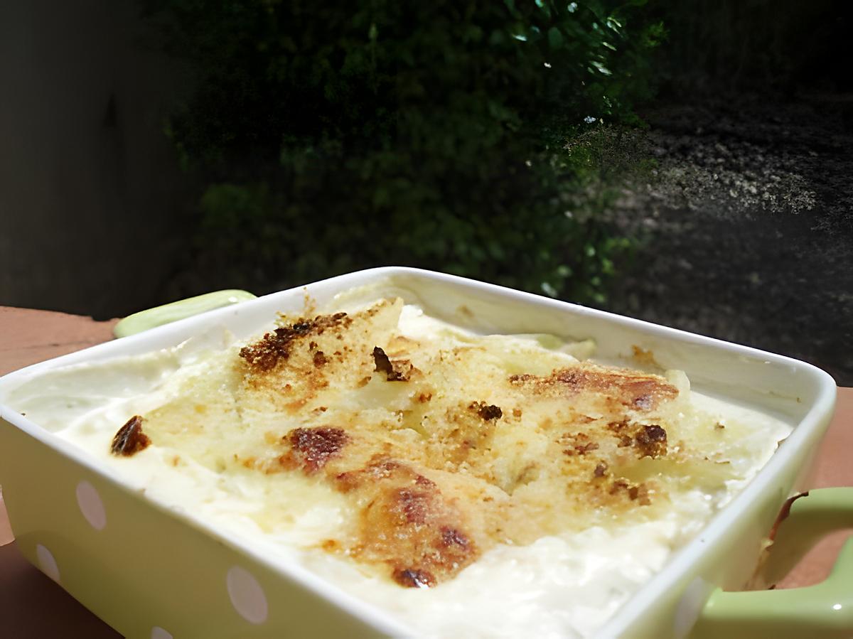 recette Gratin de fenouil à la mozzarella