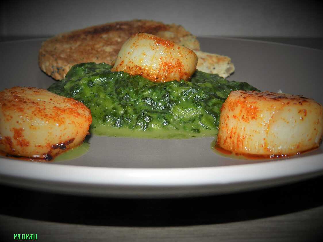 Recette de Noix de Saint-Jacques sur un lit vert