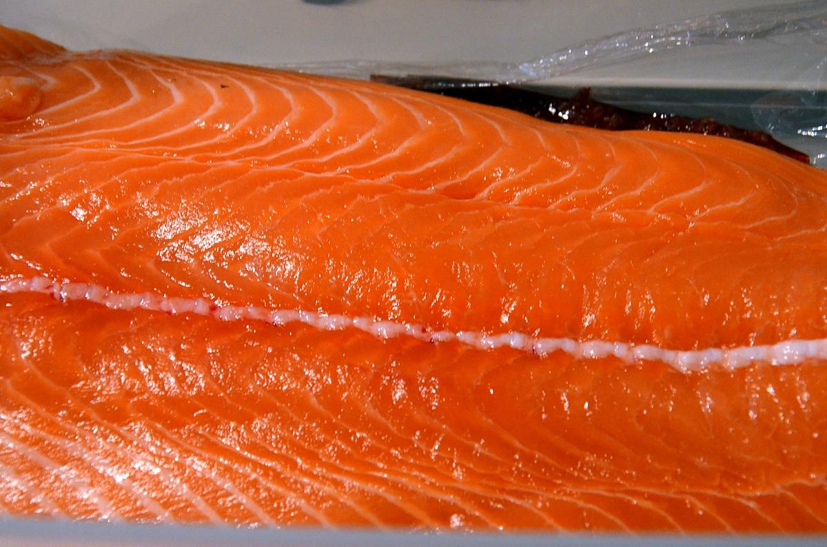 recette Saumon gravlax à la vodka et betterave rouge