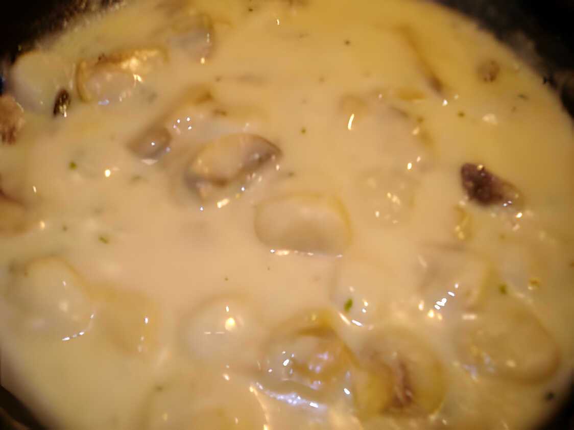 Noix de Saint-Jacques aux cèpes