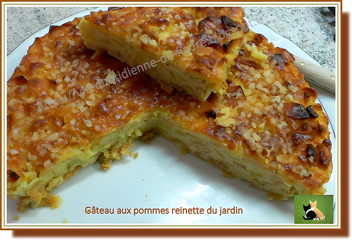 recette Gâteau aux pommes reinette du jardin